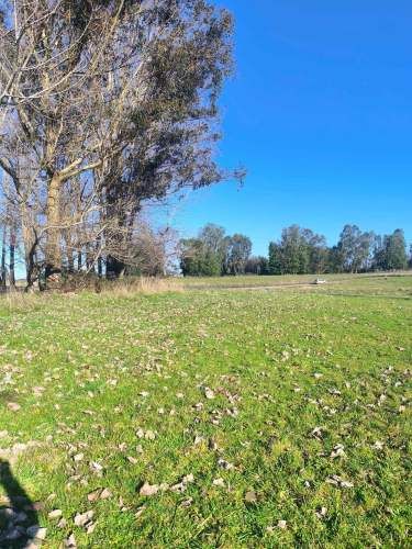 Oportunidad de Parcela en Osorno (132407)