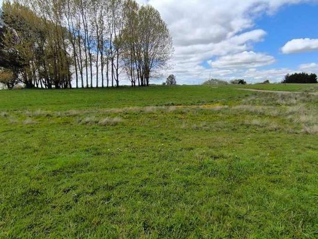 Oportunidad de Parcela en Osorno (132407)