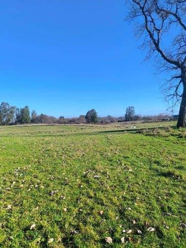 Oportunidad de Parcela en Osorno (132407)