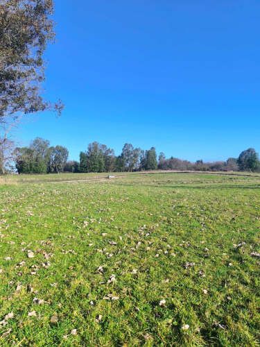 Oportunidad de Parcela en Osorno (132407)