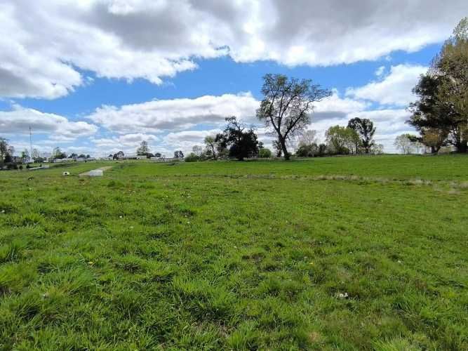 Oportunidad de Parcela en Osorno (132407)