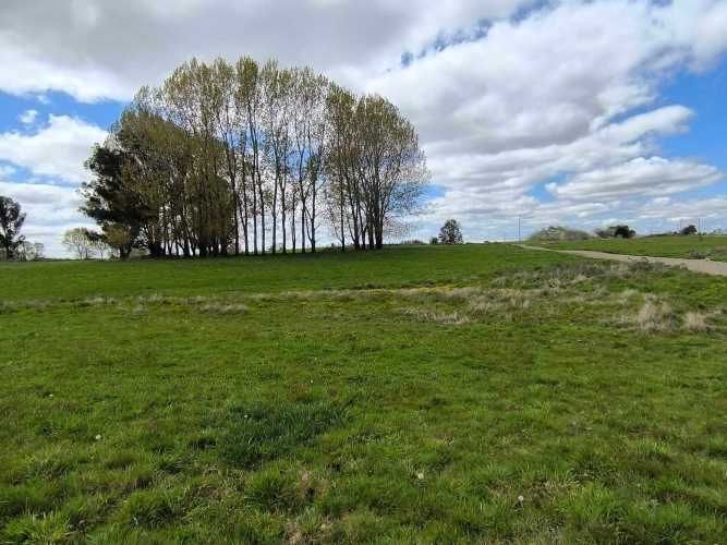 Oportunidad de Parcela en Osorno (132407)