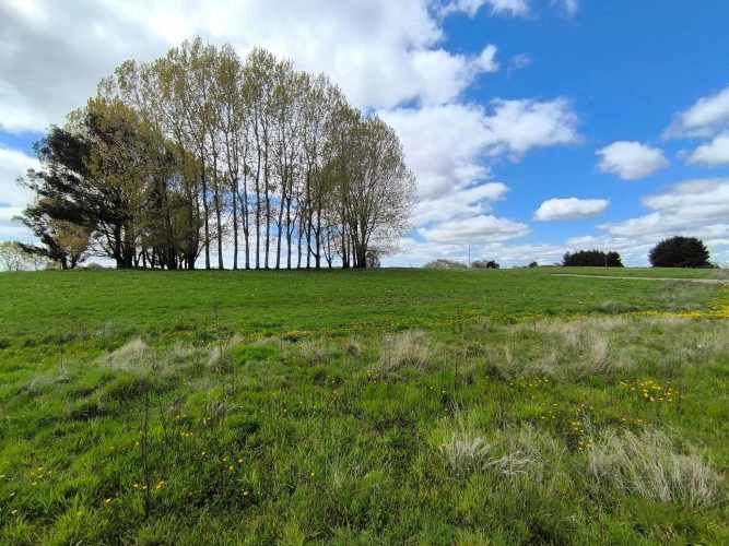 Oportunidad de Parcela en Osorno (132407)