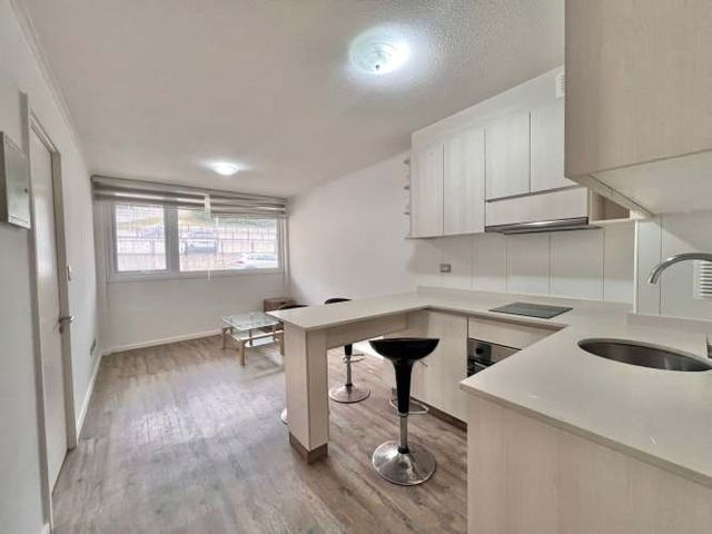 DEPARTAMENTO 1D/1B+EST+BOD ALTO PELLUCO I