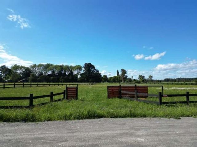 VISTA OCTAY, ÉXITO EN VENTAS - REGION DE LOS LAGOS