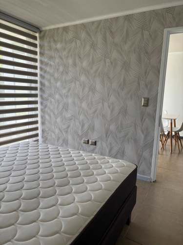 ARRIENDO DEPARTAMENTO A PASOS DE AV. ALEMANIA