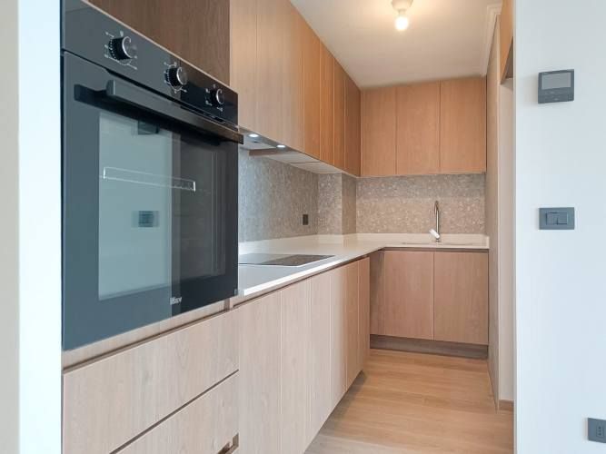 David Arellano 1954 [3490-4]