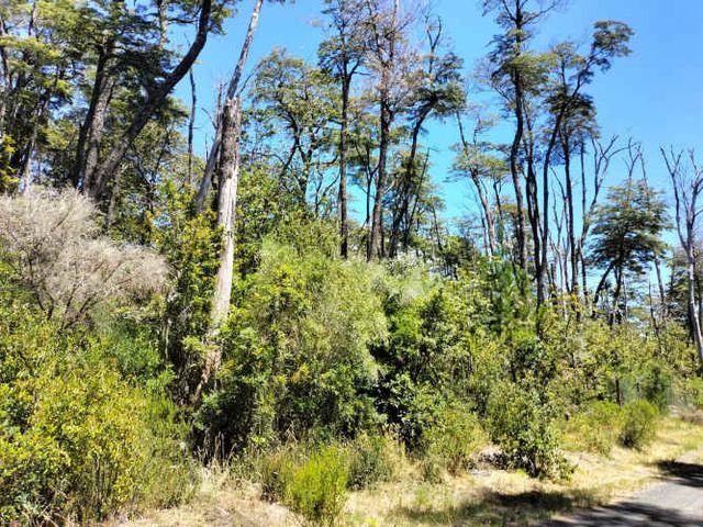 VENTA PARCELA A 15 MINUTOS DE PUCÓN (132509)