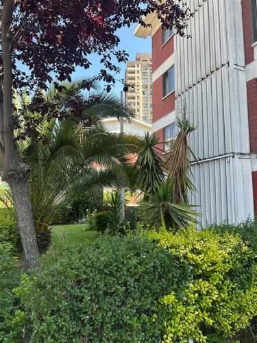 DEPARTAMENTO METRO BELLAVISTA DE LA FLORIDA - METRO VICUÑA MACKENNA - SERAFIN ZAMORA