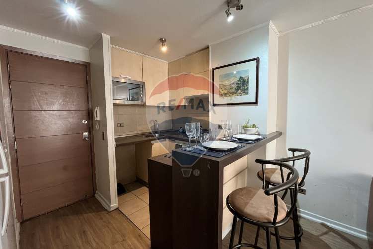 Amoblado 1d+1b+1e+1b. metro s. lucía