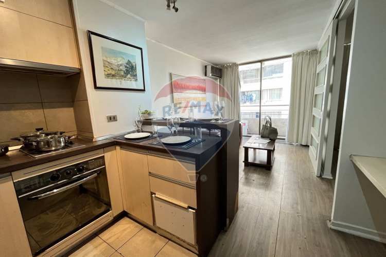 Amoblado 1d+1b+1e+1b. metro s. lucía