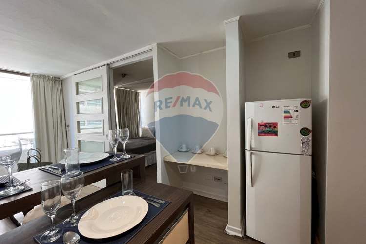 Amoblado 1d+1b+1e+1b. metro s. lucía