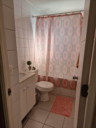 Arriendo amplio depto 3D+2B Comuna de Recoleta