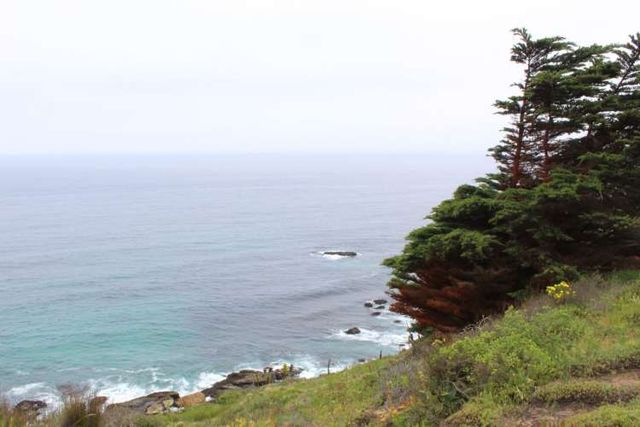 TERRENO DE 3,2 HA EN SECTOR EL TEBO ,HORCON