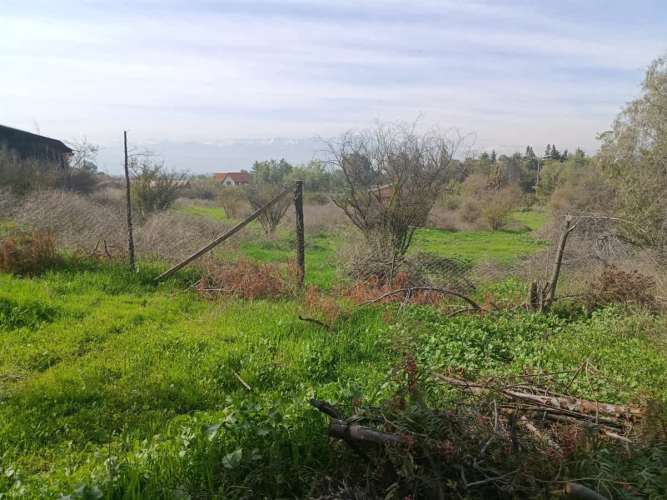 PARCELA LO FONTECILLA