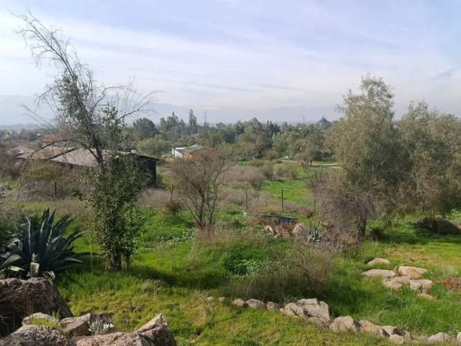 PARCELA LO FONTECILLA