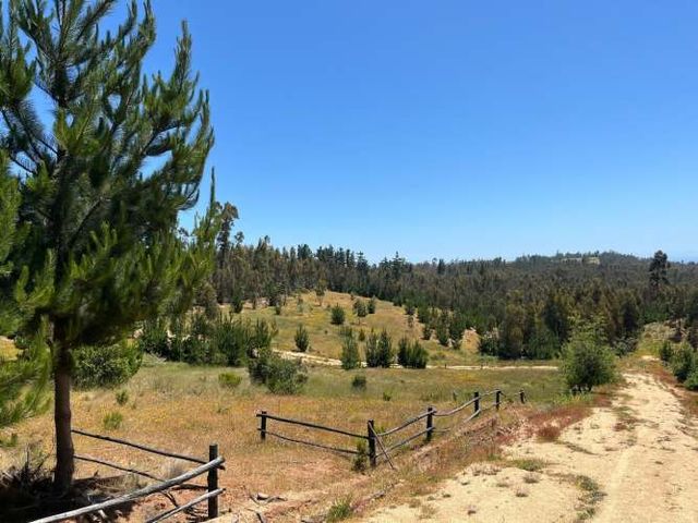 Vista La Polcura, Matanzas-Puertecillo