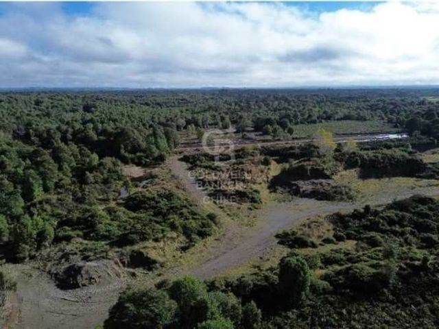 Fundo 165 ha km 1050 Ruta 5 Sur