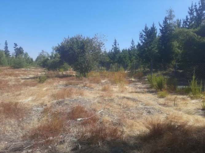 VENTA PARCELA LOS ÁNGELES |URETA BRAVO PROPIEDADES|