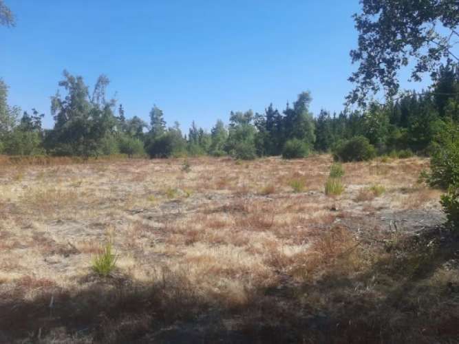 VENTA PARCELA LOS ÁNGELES |URETA BRAVO PROPIEDADES|