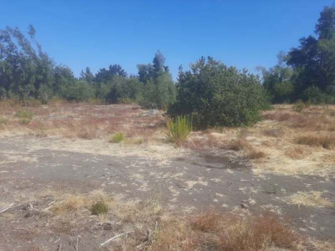 VENTA PARCELA LOS ÁNGELES |URETA BRAVO PROPIEDADES|