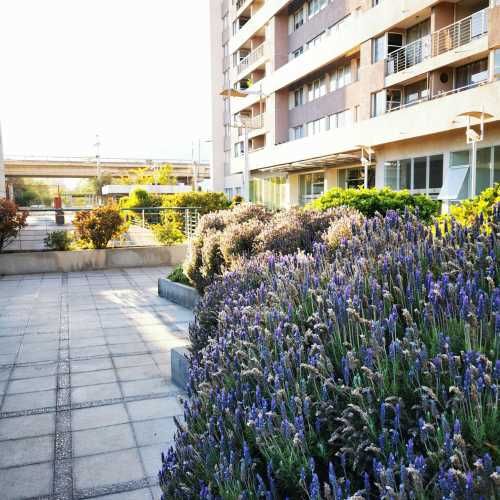 ARRIENDA DIRECTO SU DUEÑO SIN COMISIÓN!