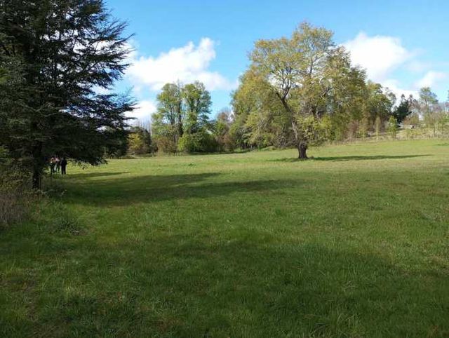 Parcela con Vistas Panorámicas Únicas (132733)