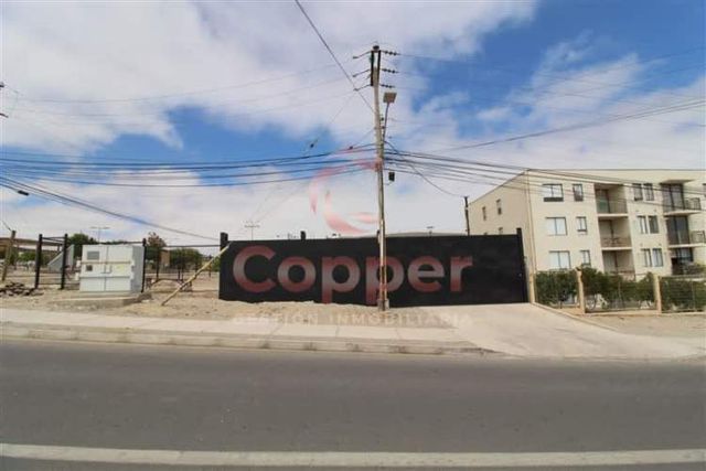 SITIO Batallon Atacama con Isla Picton