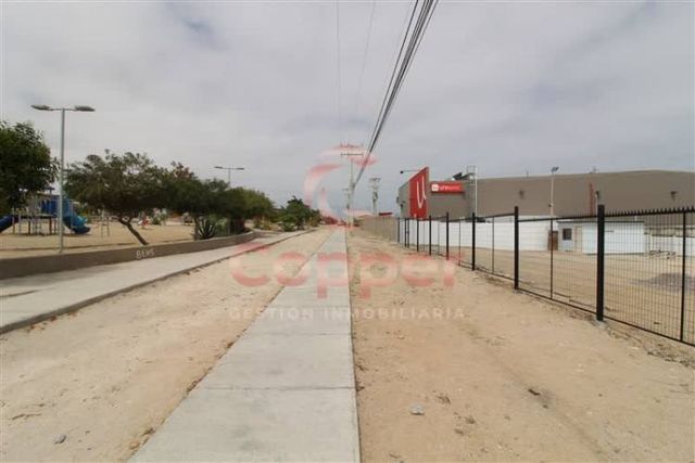 SITIO Batallon Atacama con Isla Picton