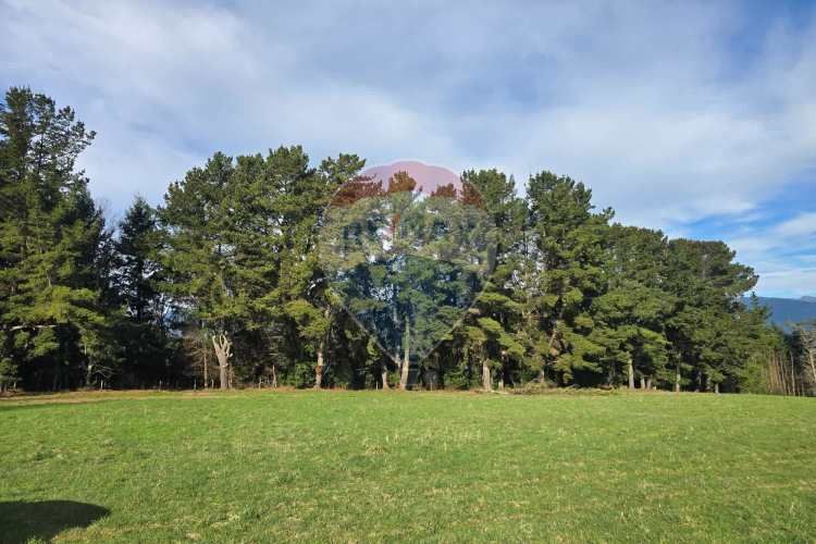Lago panguipulli, sector exclusivo acceso al  lago