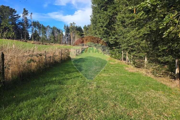 Lago panguipulli, sector exclusivo acceso al  lago