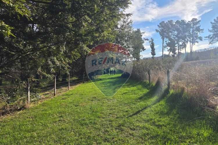 Lago panguipulli, sector exclusivo acceso al  lago