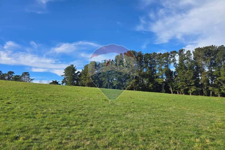 Lago panguipulli, sector exclusivo acceso al  lago