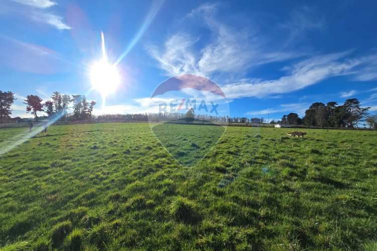 Lago panguipulli, sector exclusivo acceso al  lago