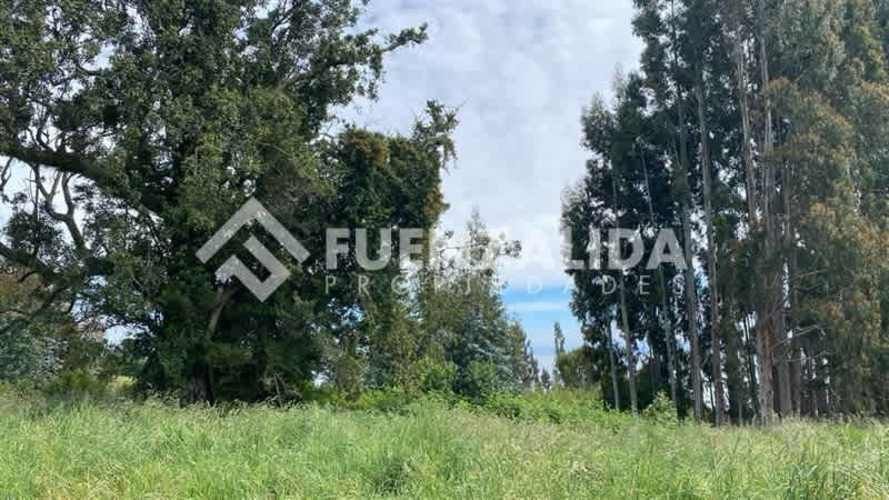 PARCELA Camino a Ensenada