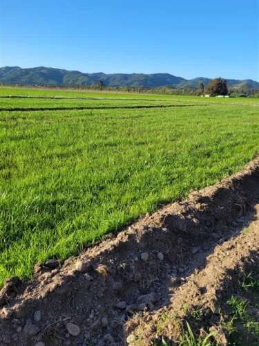 AGRICOLA Fundo Maravilla Hualañé