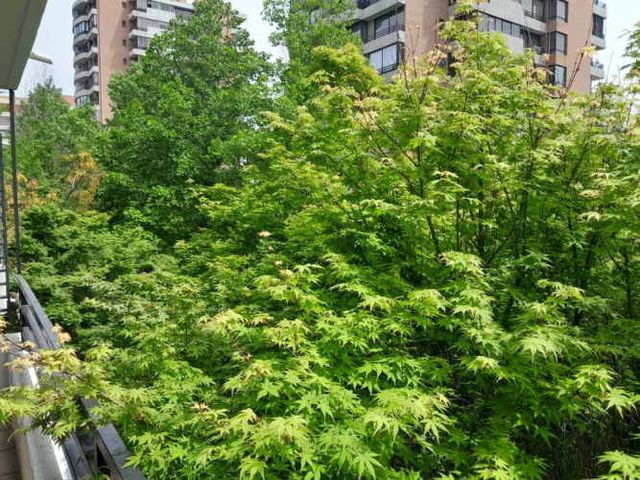 Departamento en venta 4d4b- Vitacura  (132797)