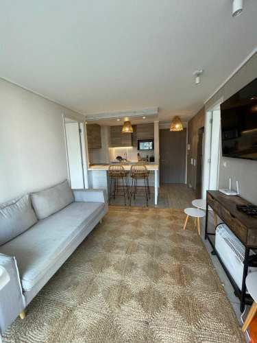 Vende departamento mariposa, Concón (132734)