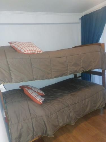 Arriendo Diario de Hermoso Dpto en la Avenida del Mar