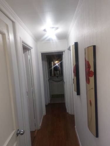 Arriendo Diario de Hermoso Dpto en la Avenida del Mar