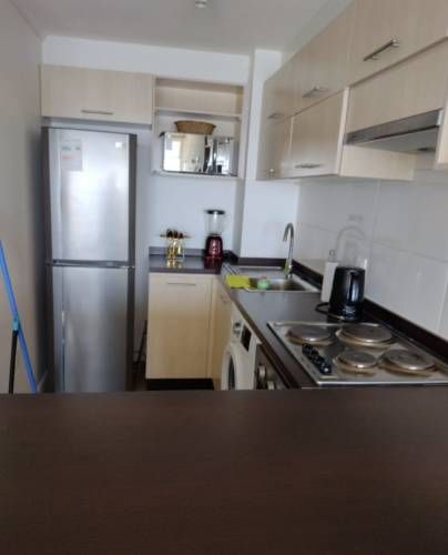 Arriendo Diario de Hermoso Dpto frente a la playa de La Herradura