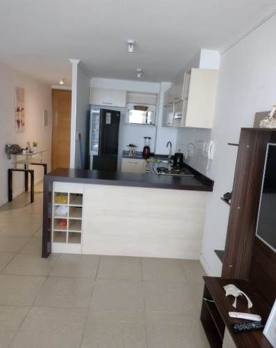 Arriendo Diario de Hermoso Dpto frente a la playa de La Herradura