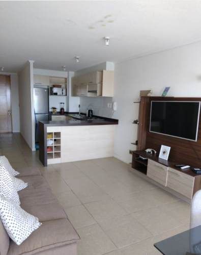 Arriendo Diario de Hermoso Dpto frente a la playa de La Herradura