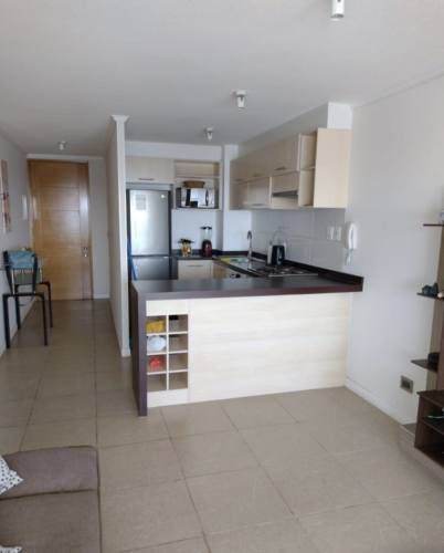 Arriendo Diario de Hermoso Dpto frente a la playa de La Herradura