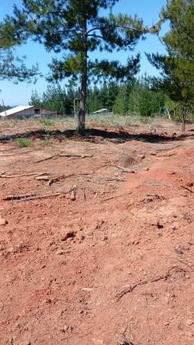Rebajado - Terreno a 20 min Pichilemu, agua, generador, orilla carretera