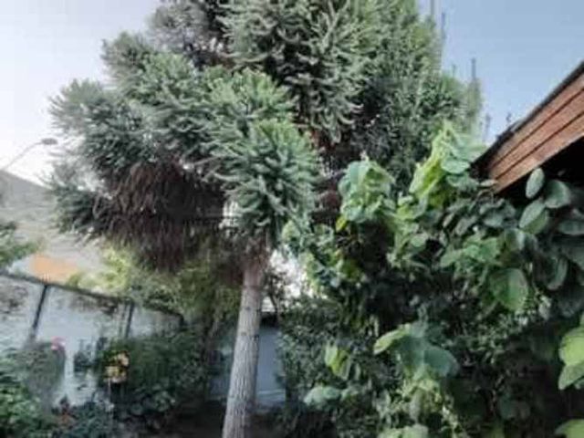 Bella Casa en Villa Manuel Plaza Calle Coelemu Comuna Lampa