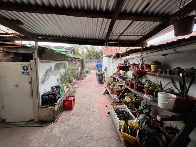 Fuente de Soda 140 m2 útiles, 2.100 m2 terreno