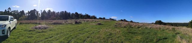 TERRENO 1.03 Ha SECTOR CANCHA LARGA OSORNO