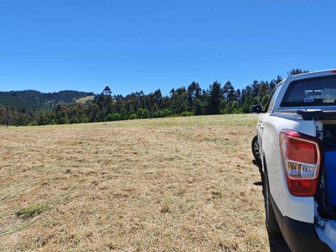 TERRENO 1.03 Ha SECTOR CANCHA LARGA OSORNO