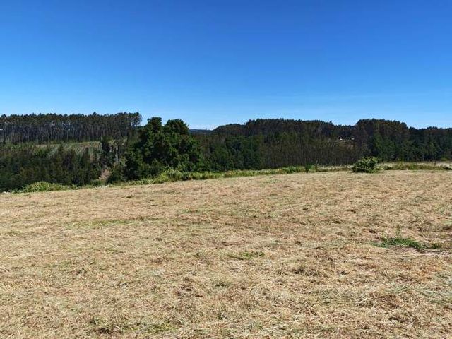 TERRENO 1.03 Ha SECTOR CANCHA LARGA OSORNO